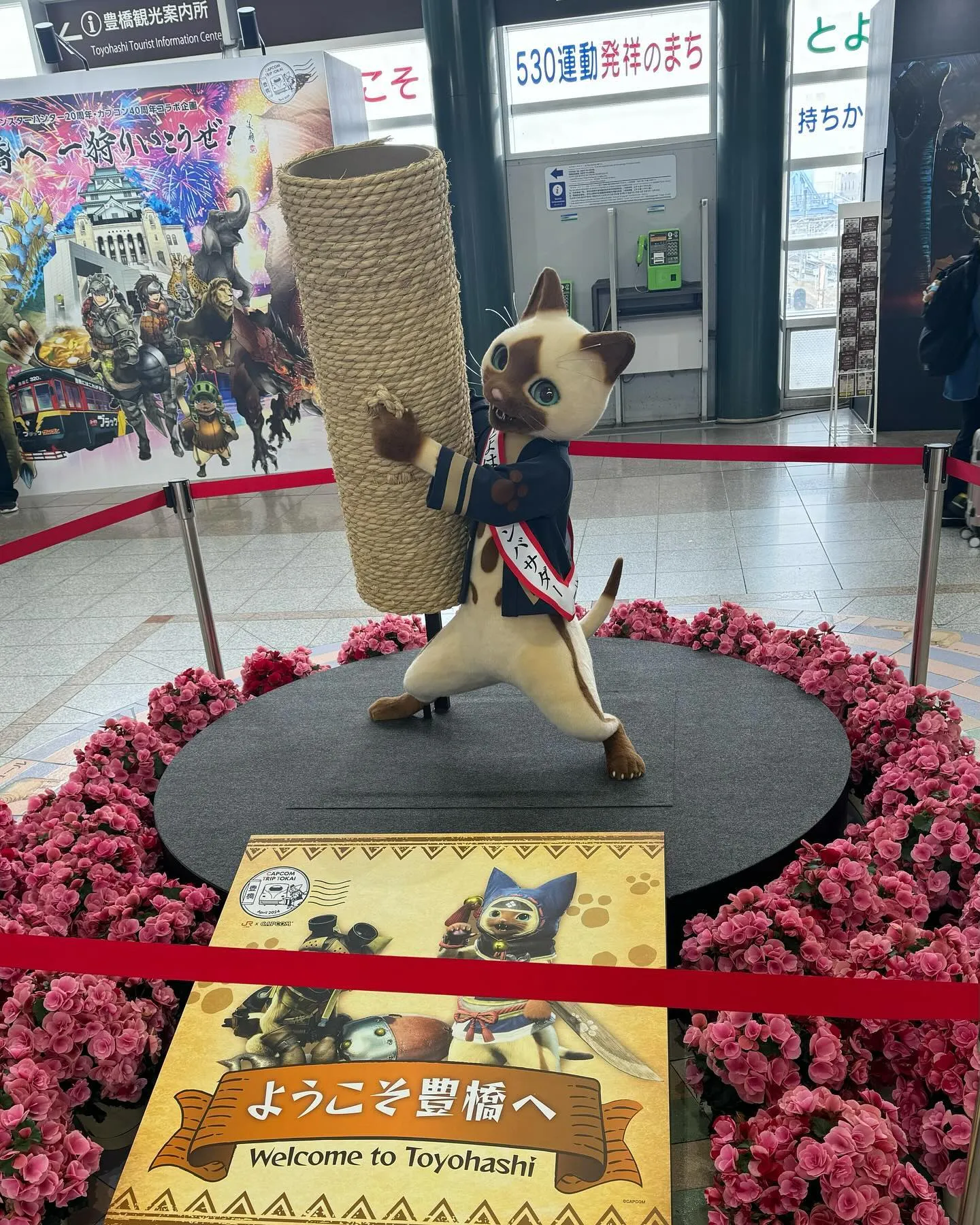 豊橋がモンハンにジャックされたようですね。