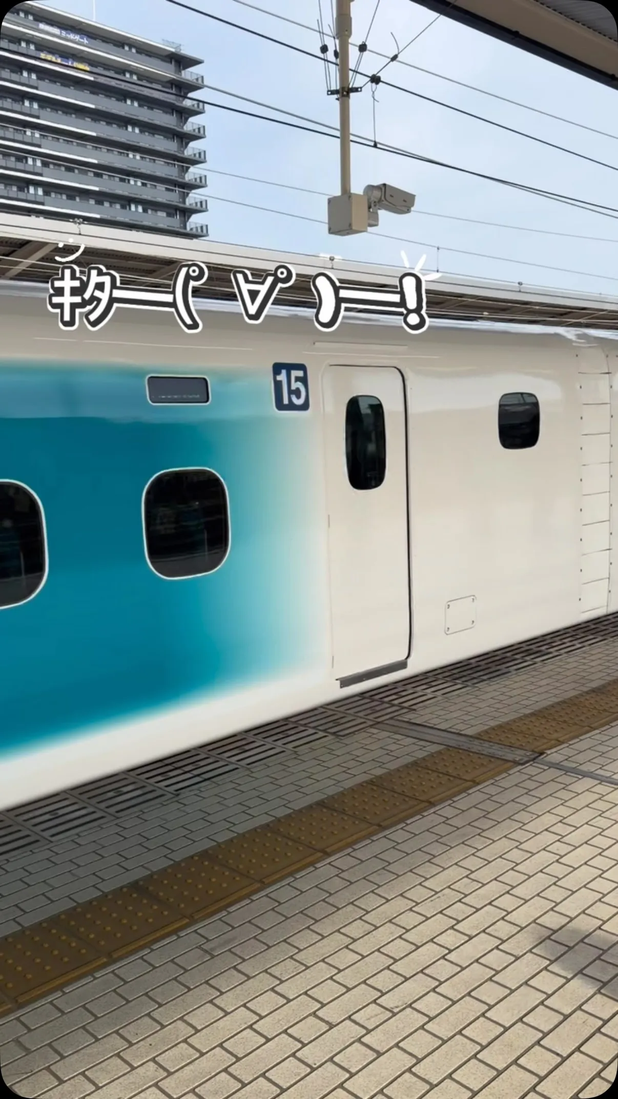 本日より、東海道新幹線の一部の車両が、ディズニーのラッピング...